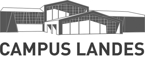 Logo Campus Landesvecto
